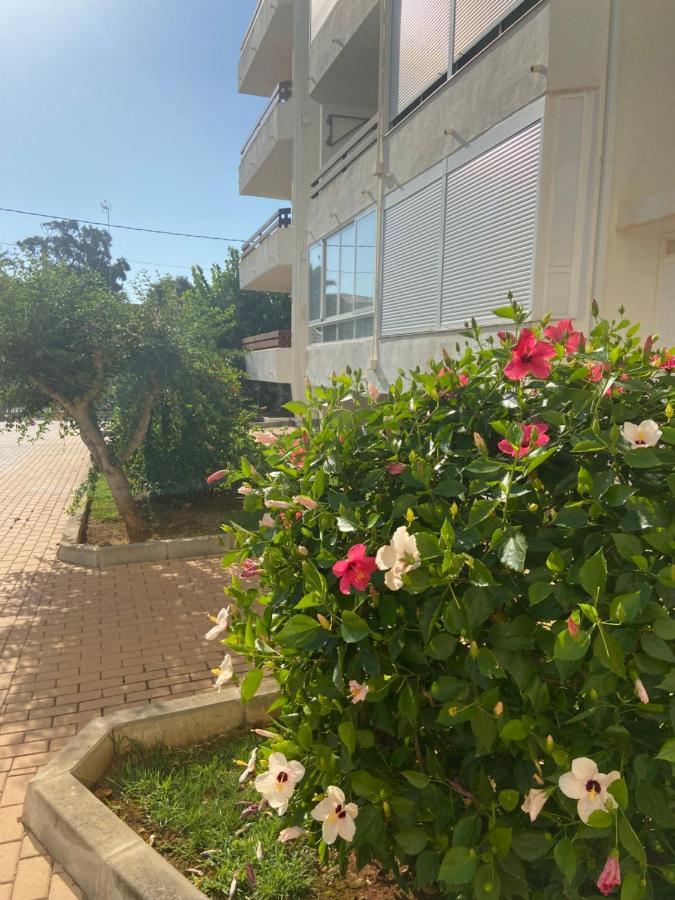 Vistas Al Mar Playa De Los Bovetes Denia Εξωτερικό φωτογραφία
