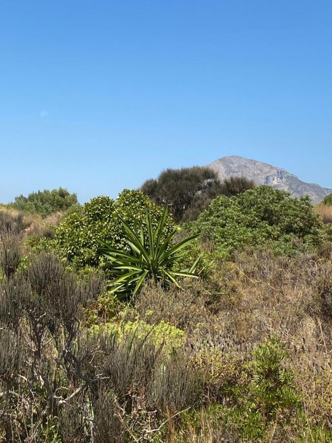 Vistas Al Mar Playa De Los Bovetes Denia Εξωτερικό φωτογραφία